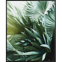 Leaf II - Canvas