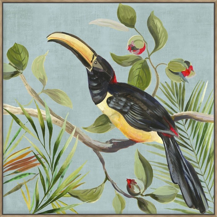 Paradise Toucan II - Canvas
