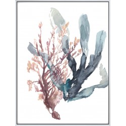 Sweet Seaweed I - Canvas