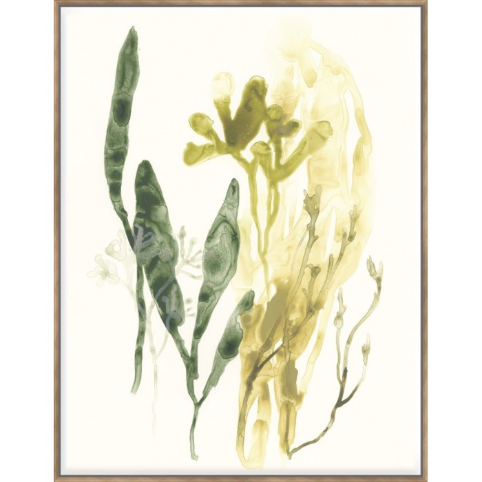 Kelp Collection VI - Canvas 123x93cm