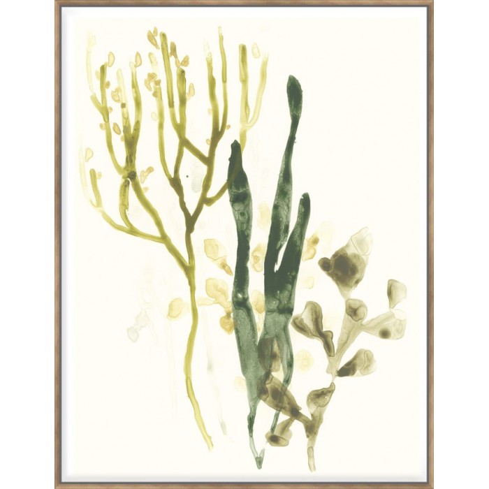 Kelp Collection V  - Canvas 124x94cm