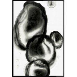 Neutral Blobs I - Canvas