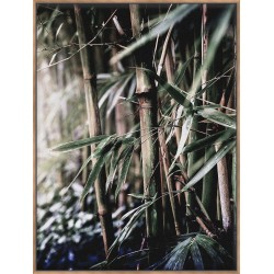 Leaf III - Canvas
